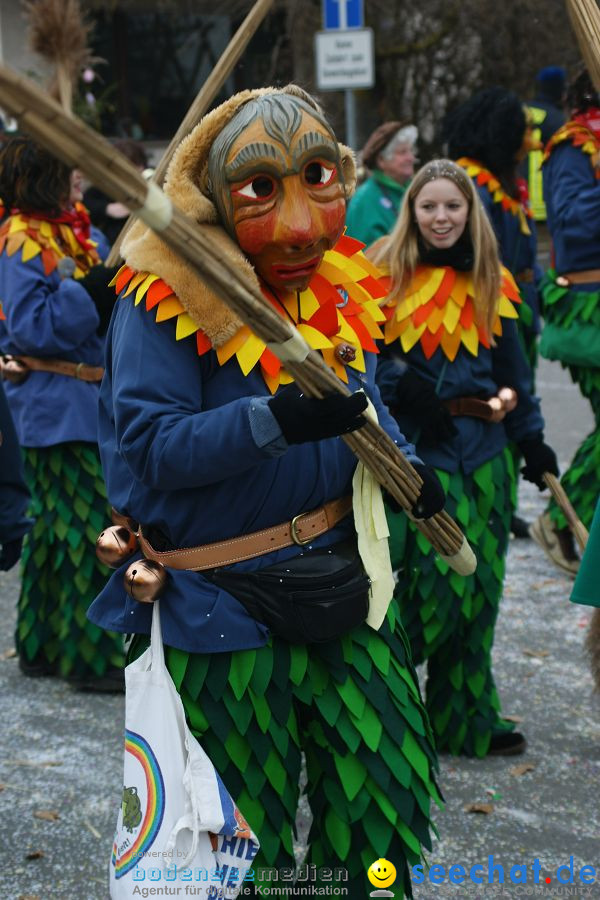 Narrenumzug: Orsingen am Bodensee, 30.01.2011