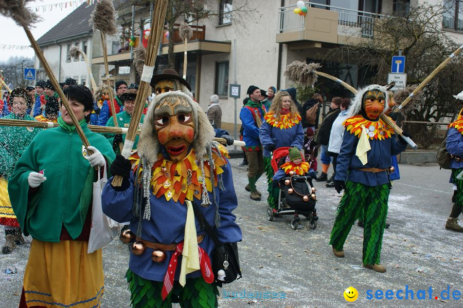 Narrenumzug: Orsingen am Bodensee, 30.01.2011