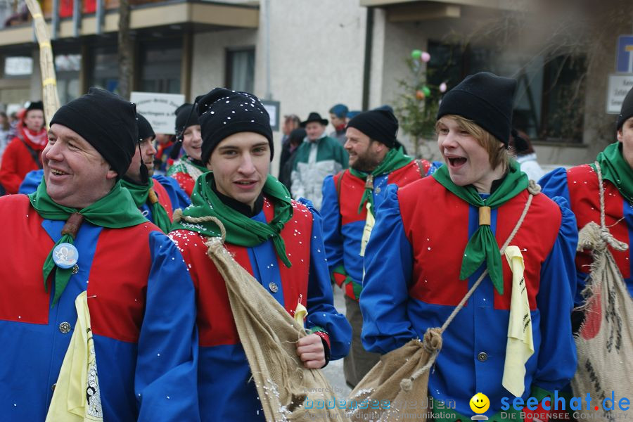 Narrenumzug: Orsingen am Bodensee, 30.01.2011