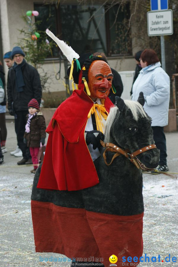 Narrenumzug: Orsingen am Bodensee, 30.01.2011