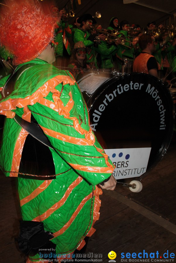 Narrentreffen 2010 - Festzelt: Orsingen am Bodensee, 29.01.2011
