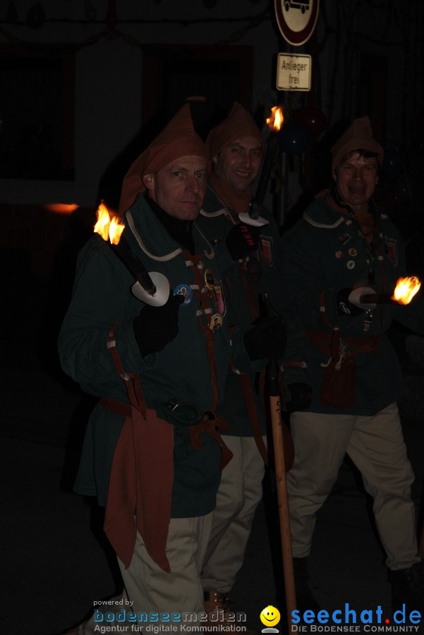 Narrentreffen 2010 - Festzelt: Orsingen am Bodensee, 29.01.2011