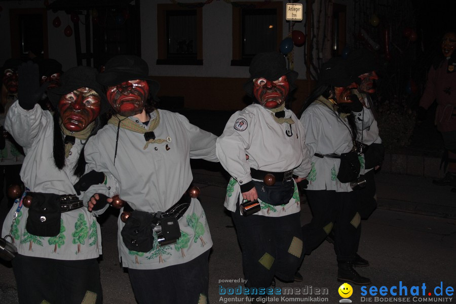 Narrentreffen 2010 - Festzelt: Orsingen am Bodensee, 29.01.2011