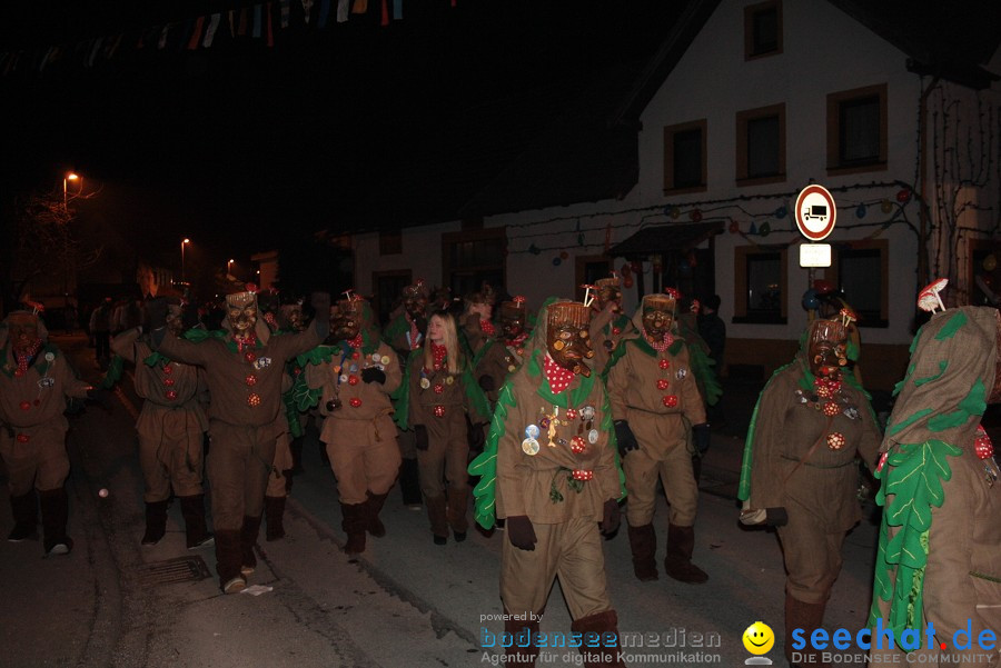 Narrentreffen 2010 - Festzelt: Orsingen am Bodensee, 29.01.2011