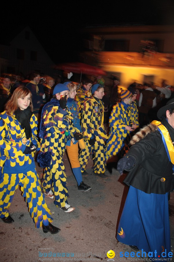 Narrentreffen 2010 - Festzelt: Orsingen am Bodensee, 29.01.2011