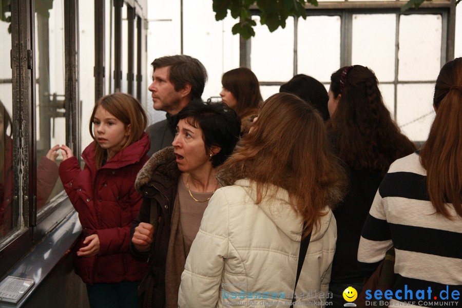 WILHELMA - zoologisch-botanischer Garten: Stuttgart, 05.02.2011