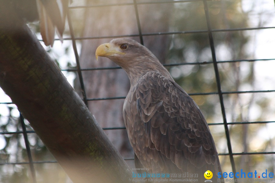 WILHELMA - zoologisch-botanischer Garten: Stuttgart, 05.02.2011