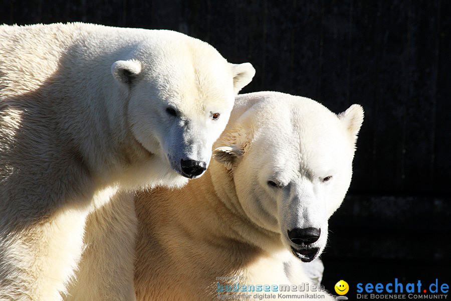 WILHELMA - zoologisch-botanischer Garten: Stuttgart, 05.02.2011