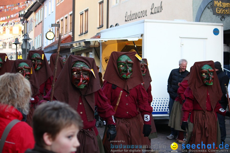 Fasnet-Tettnanger Feuerhexen Jubilaeumsumzug-Tettnang-050211-seechat_de