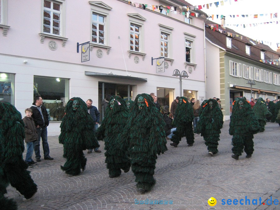 Fasnet-Tettnanger Feuerhexen Jubilaeumsumzug-Tettnang-050211-seechat_de