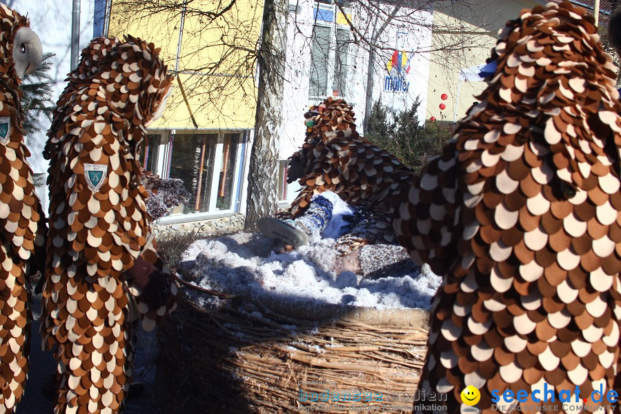 Fasnet 2011-Narrensprung-Horgenzell-060211-seechat_de