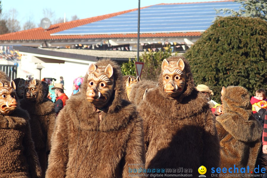 Fasnet 2011-Narrensprung-Horgenzell-060211-seechat_de