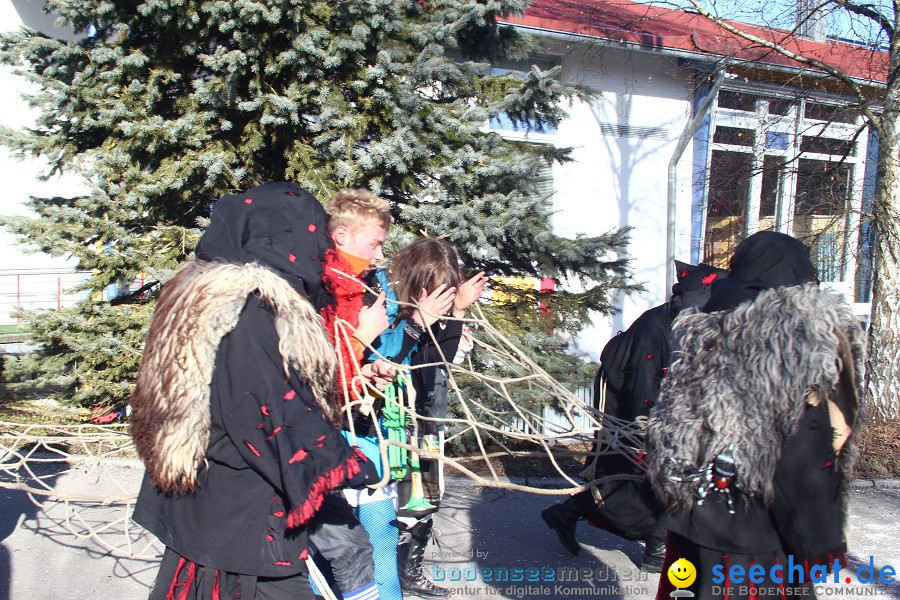 Fasnet 2011-Narrensprung-Horgenzell-060211-seechat_de