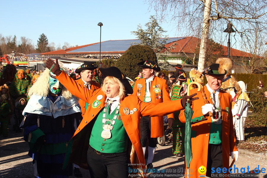 Fasnet 2011-Narrensprung-Horgenzell-060211-seechat_de