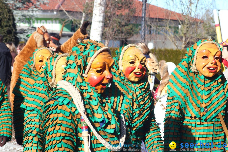 Fasnet 2011-Narrensprung-Horgenzell-060211-seechat_de