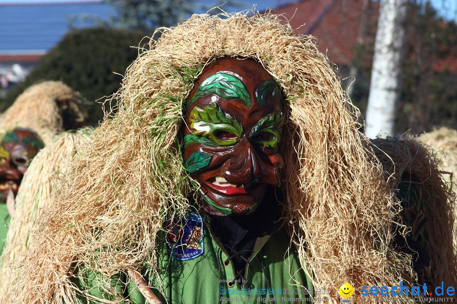 Fasnet 2011-Narrensprung-Horgenzell-060211-seechat_de