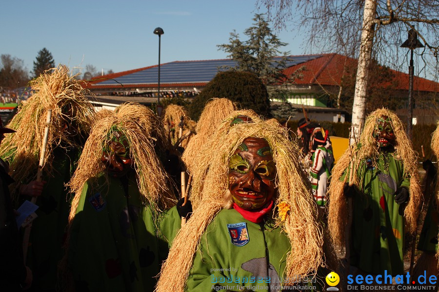 Fasnet 2011-Narrensprung-Horgenzell-060211-seechat_de