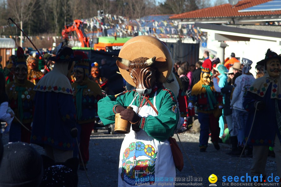 Fasnet 2011-Narrensprung-Horgenzell-060211-seechat_de