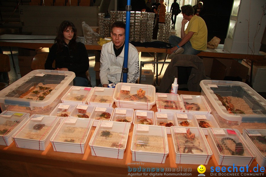 Reptilienboerse - Oberschwabenhalle: Ravensburg, 12.02.2011