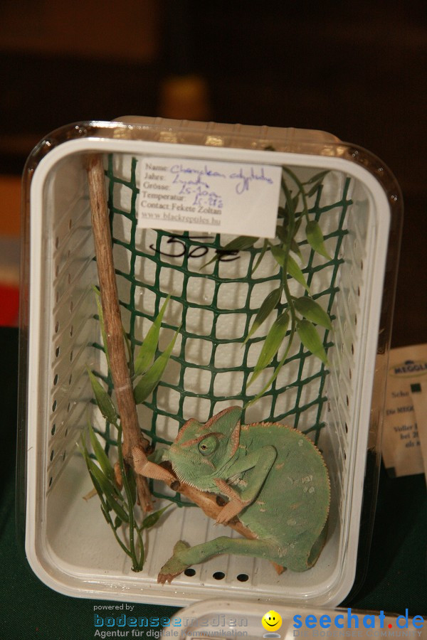 Reptilienboerse - Oberschwabenhalle: Ravensburg, 12.02.2011