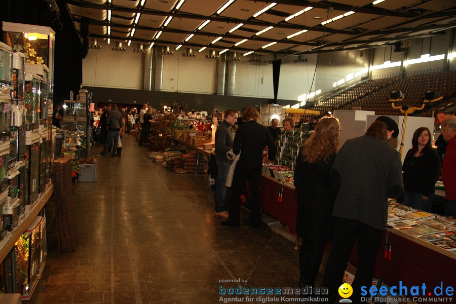 Reptilienboerse - Oberschwabenhalle: Ravensburg, 12.02.2011