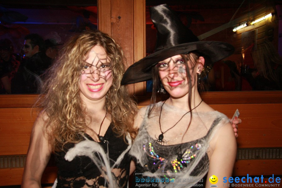 Stierball 2011 mit CRASH und YETIS: Wahlwies am Bodensee, 04.03.2011