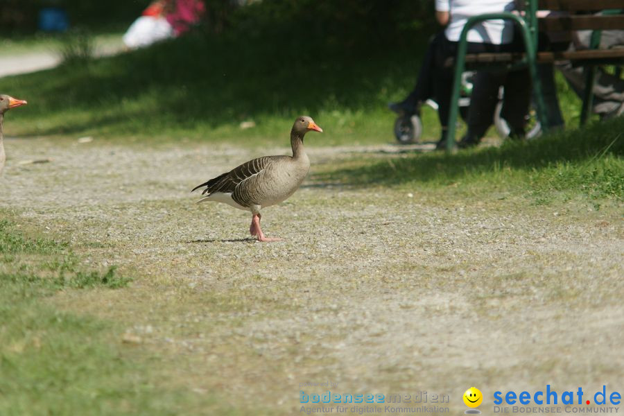 Ausflug: Affenberg: Salem am Bodensee, 23.04.2011