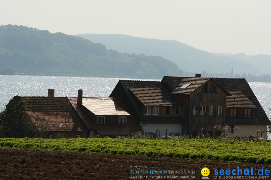 Ausflugsfahrt: Radolfzell - Insel Reichenau: Bodensee-Schifffahrt, 25.04.20